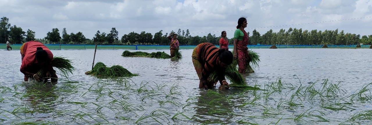 Empowering Farmers